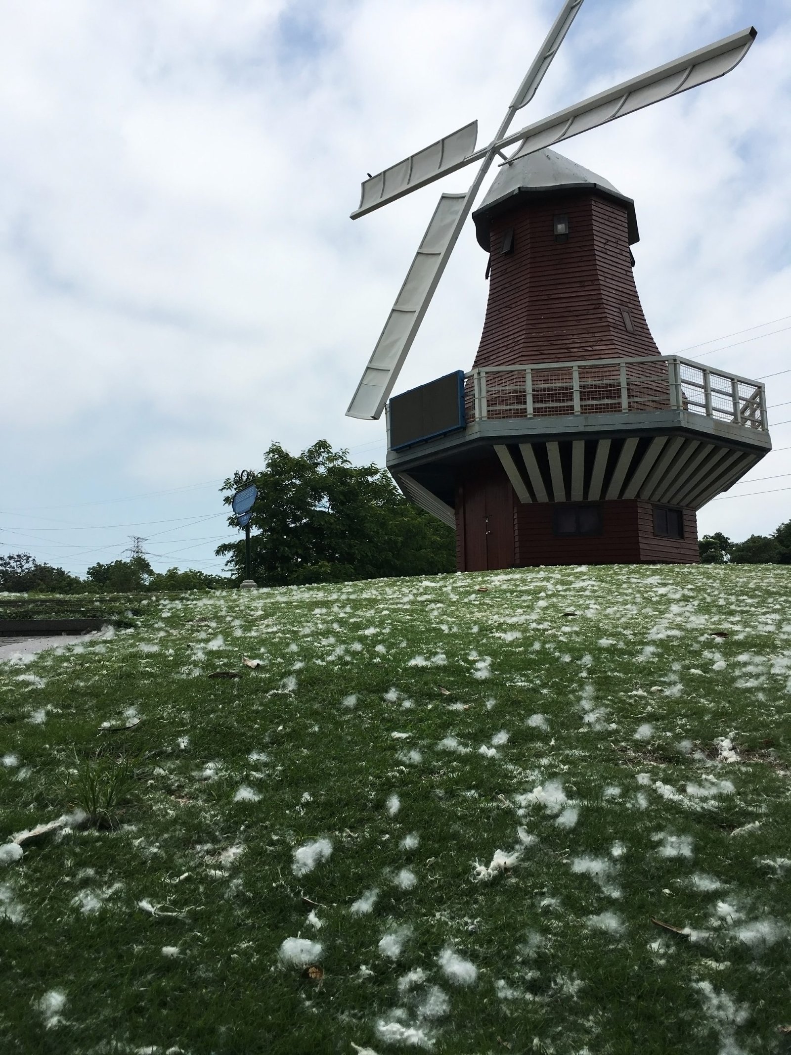 European-style windmill