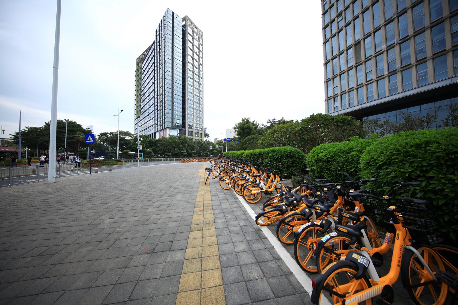 Sharing bicycle on the street