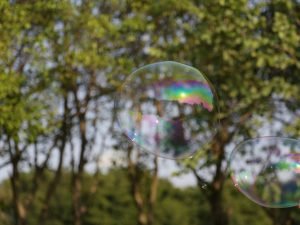 Bubbles in the park