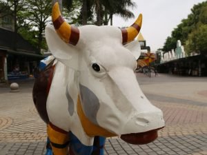 Sculpture-colored cattle