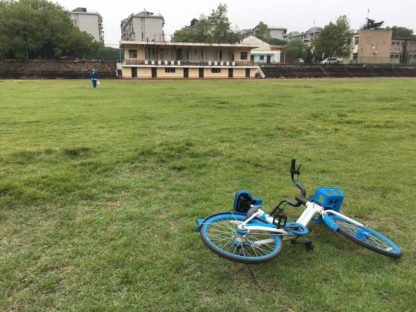 Shared bikes on the lawn