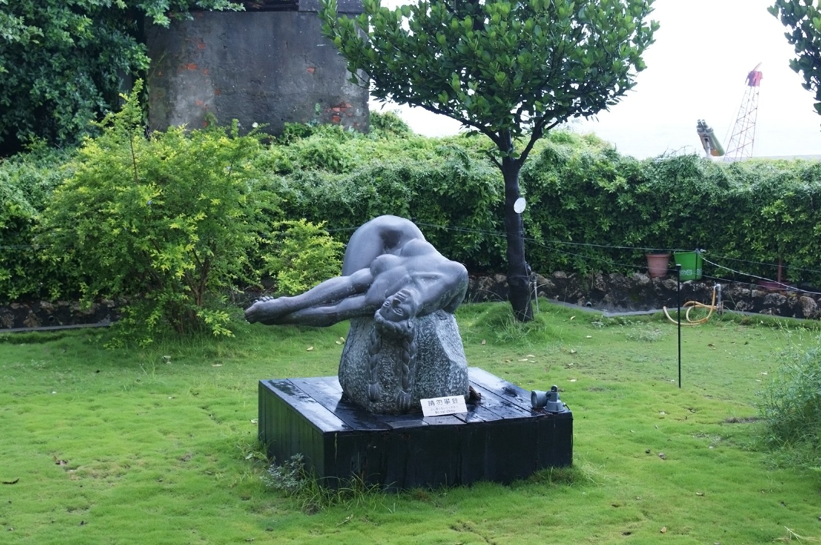  Sculpture-The maiden on the boulder