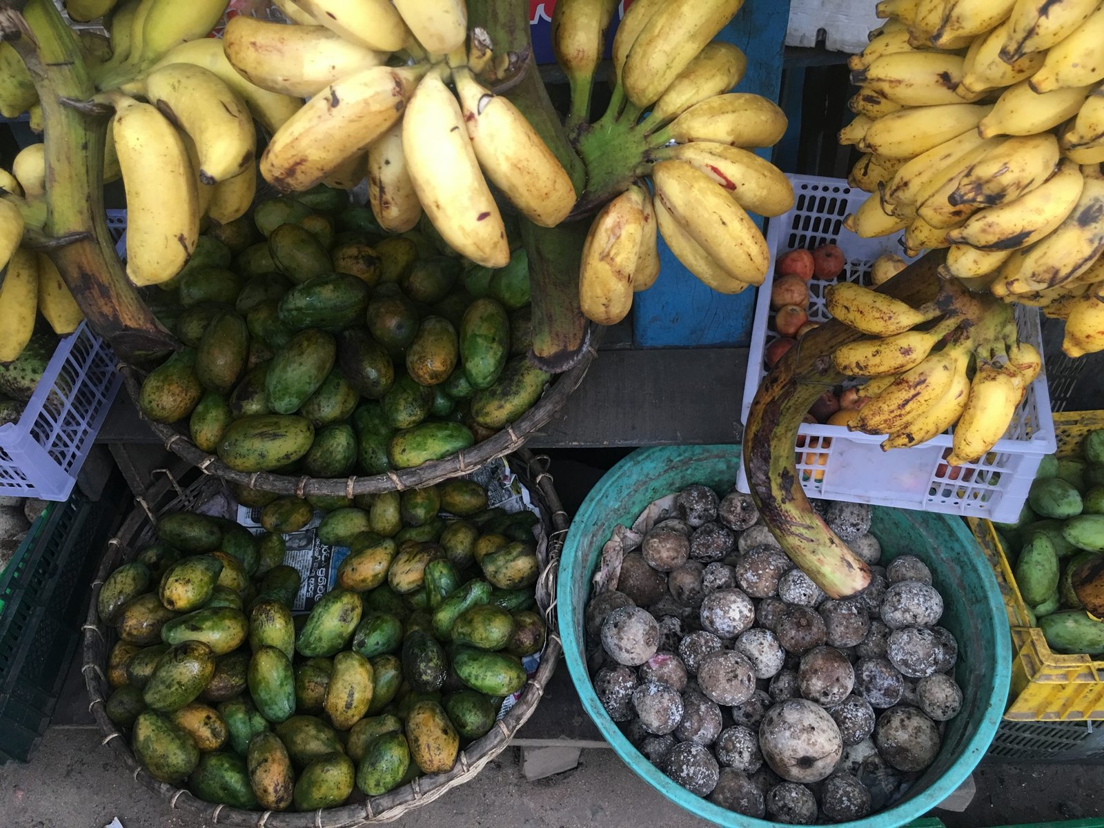 tropical fruit